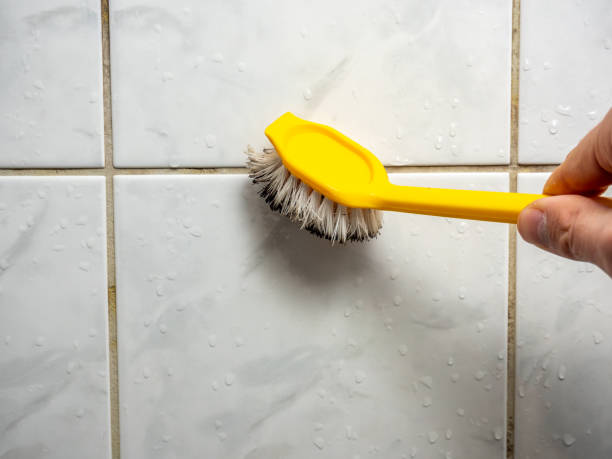 Best Mold Testing and Removal  in Claremont, NH