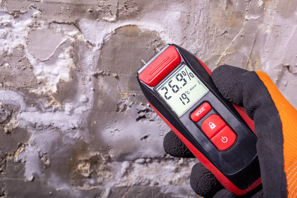 Best Affordable Mold Removal  in Claremont, NH