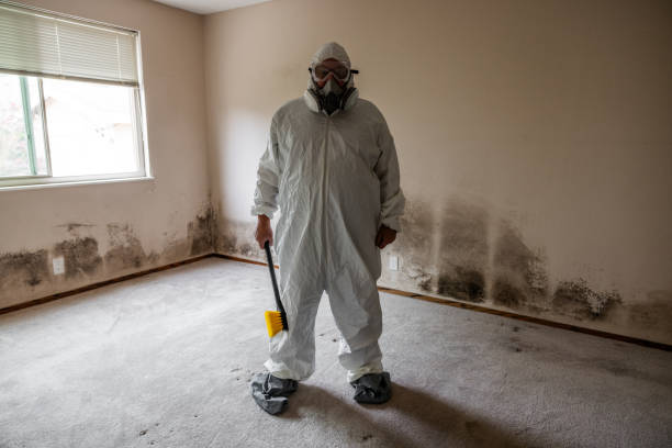 Professional Mold Removal in Claremont, NH